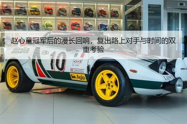 zhao-xin-tong-guan-jun-hou-de-man-chang-hui-xiang-fu-chu-lu-shang-dui-shou-yu-shi-jian-de-shuang-chong-kao-yan-2-690.jpg